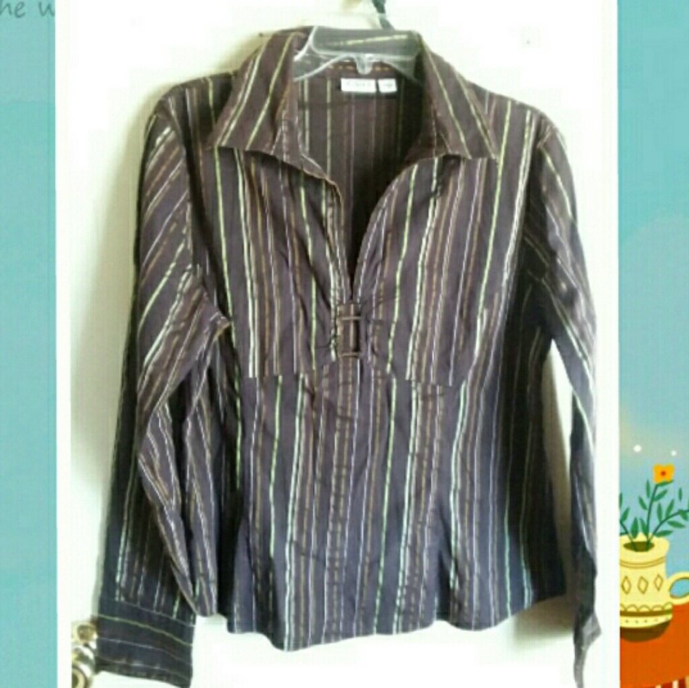 Cato Vertical  Striped Brown Top size Large